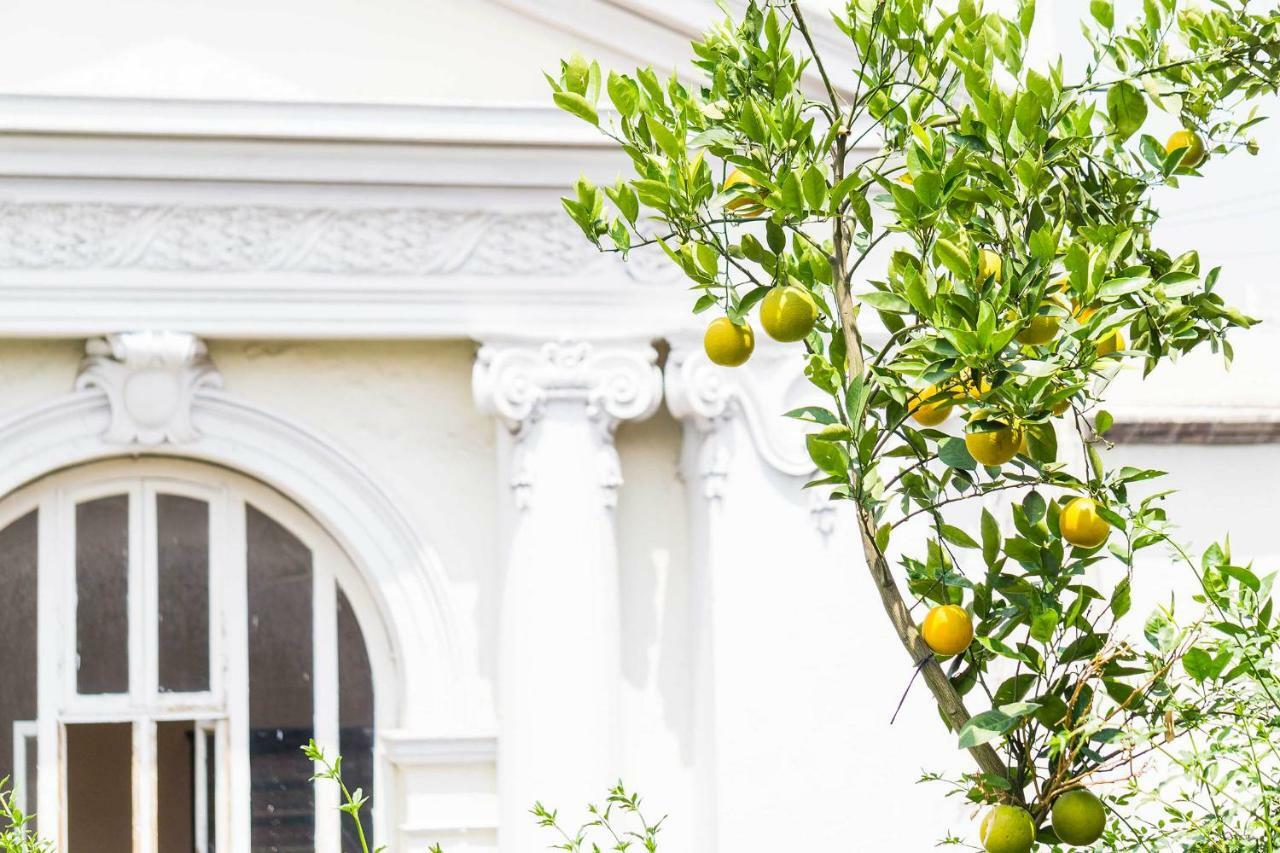 Myplace Zocalo Мехико Экстерьер фото